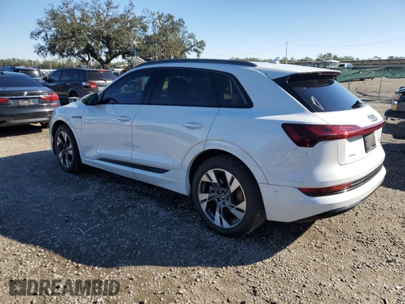 2022 Audi e-tron Premium with VIN WA1AAAGE1NB019221, listed as a Copart auction lot 41872005 with 47,890 mi miles and Salvage Title. Bid and sale history available at DreamBid. Image 2.