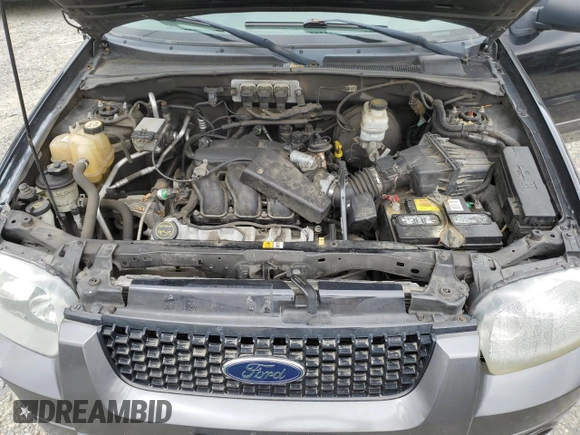 2005 Ford Escape XLT with VIN 1FMYU03165KB36801, listed as a Copart auction lot 61978705 with 217,658 mi miles and Salvage title. Bid and sale history available at DreamBid. Image 12.