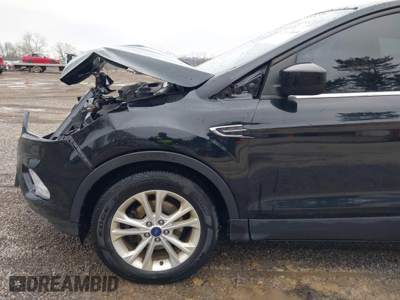 2017 Ford Escape SE with VIN 1FMCU0GD3HUC86839, listed as a IAAI auction lot 42017669 with 106,228 mi miles. Bid and sale history available at carsss.com. Image 18.
