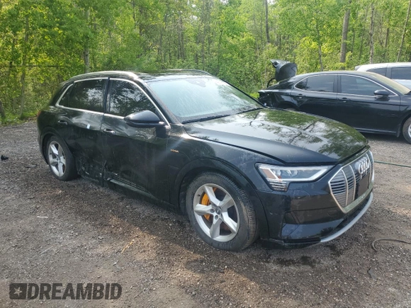 2019 Audi e-tron Prestige with VIN WA1VAAGE8KB008858, listed as a Copart auction lot 56161725 with 123,111 mi miles and Clean title. Bid and sale history available at DreamBid. Image 4.