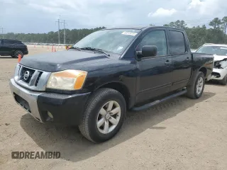 2010 Nissan Titan SE with VIN 1N6BA0ED9AN304785, listed as a Copart auction lot 60015815 with 117,080 mi miles and Salvage title. Bid and sale history available at DreamBid. Image 1.