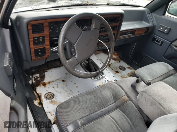 1993 Dodge Dakota with VIN 1B7GG23XXPS129182, listed as a Copart auction lot 88786935 with 176,015 mi miles and Salvage Title. Bid and sale history available at carsss.com. Image 8.