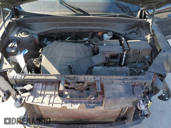 2023 Kia Telluride SX with VIN 5XYP5DGC3PG348337, listed as a Copart auction lot 53195555 with 47,633 mi miles and Salvage title. Bid and sale history available at DreamBid. Image 13.