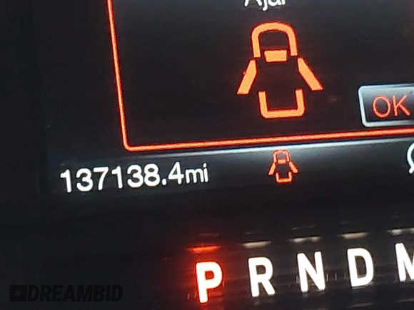 2018 Ford F-150 XL with VIN 1FTEX1EP1JFB25097, listed as a IAAI auction lot 41820009 with 137,138 mi miles and . Bid and sale history available at DreamBid. Image 15.
