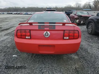 2005 Ford Mustang Deluxe with VIN 1ZVFT80N955110192, listed as a Copart auction lot 49981045 with 22,110 mi miles and Salvage Title. Bid and sale history available at carsss.com. Image 6.