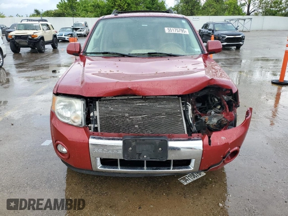 2010 Ford Escape Limited with VIN 1FMCU0E71AKB54080, listed as a Copart auction lot 55175795 with 246,064 mi miles and Salvage title. Bid and sale history available at DreamBid. Image 5.