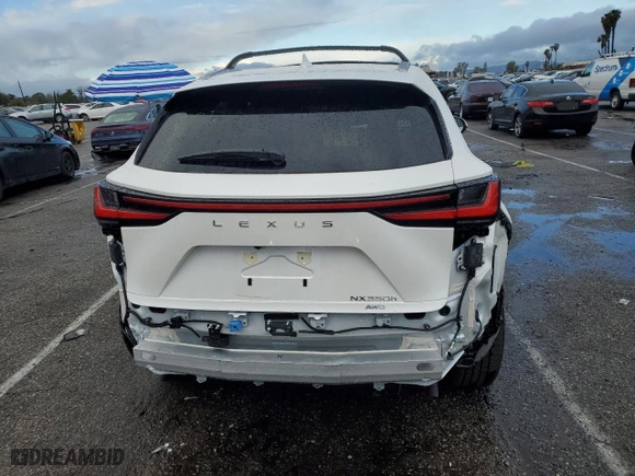 2025 Lexus NX with VIN JTJGKCEZ5S5033158, listed as a Copart auction lot 48940385 with 306 mi miles and Salvage Title. Bid and sale history available at carsss.com. Image 6.