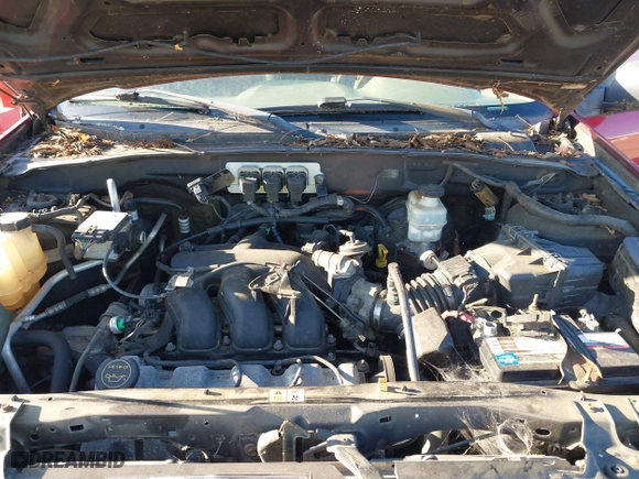 2005 Ford Escape XLT with VIN 1FMCU93115KB85547, listed as a IAAI auction lot 41669441 with 267,022 mi miles. Bid and sale history available at carsss.com. Image 10.