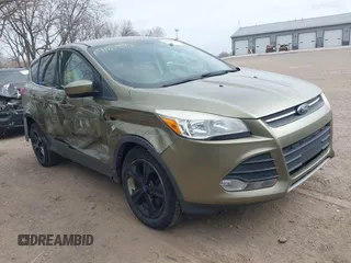 2013 Ford Escape SE with VIN 1FMCU0G90DUA41793, listed as a IAAI auction lot 41842981 with 179,312 mi miles. Bid and sale history available at carsss.com. Image 1.