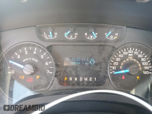 2013 Ford F-150 XL with VIN 1FTNF1CF7DKF15971, listed as a Copart auction lot 48487565 with 218,804 mi miles and Salvage Title. Bid and sale history available at carsss.com. Image 9.