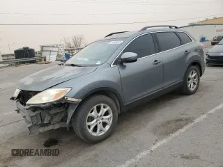 2011 Mazda CX-9 Touring with VIN JM3TB3CV0B0319456, listed as a Copart auction lot 49438325 with 189,100 mi miles and Salvage Title. Bid and sale history available at carsss.com. Image 1.