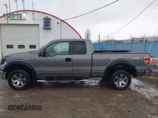 2010 Ford F-150 XL with VIN 1FTFX1EV4AFA22307, listed as a IAAI auction lot 41702951 with 199,943 mi miles and . Bid and sale history available at DreamBid. Image 14.