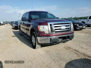 2009 Ford F-150 XL with VIN 1FTRW14889KC37087, listed as a Copart auction lot 58106134 with 225,464 mi miles and Salvage Title. Bid and sale history available at DreamBid. Image 10.