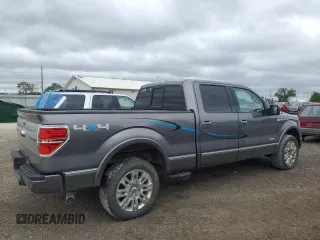 2012 Ford F-150 XL with VIN 1FTFW1ET1CFB55255, listed as a Copart auction lot 58023485 with 204,562 mi miles and Salvage title. Bid and sale history available at DreamBid. Image 3.