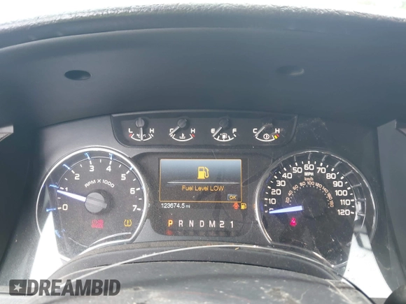 2011 Ford F-150 XL with VIN 1FTEW1CM4BFD22228, listed as a IAAI auction lot 42462810 with 123,674 mi miles and . Bid and sale history available at DreamBid. Image 7.