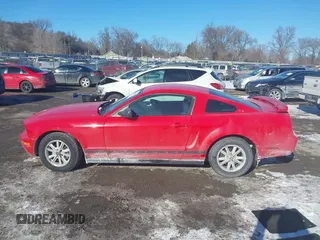 2006 Ford Mustang Standard with VIN 1ZVFT80N465261264, listed as a IAAI auction lot 41629083 with 85,945 mi miles. Bid and sale history available at carsss.com. Image 14.