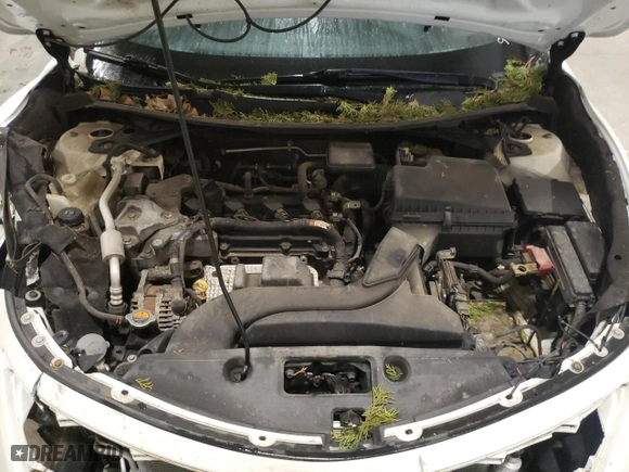 2013 Nissan Altima 2.5 SV with VIN 1N4AL3AP2DC195957, listed as a Copart auction lot 43273695 with 260,528 mi miles and Salvage Title. Bid and sale history available at carsss.com. Image 11.