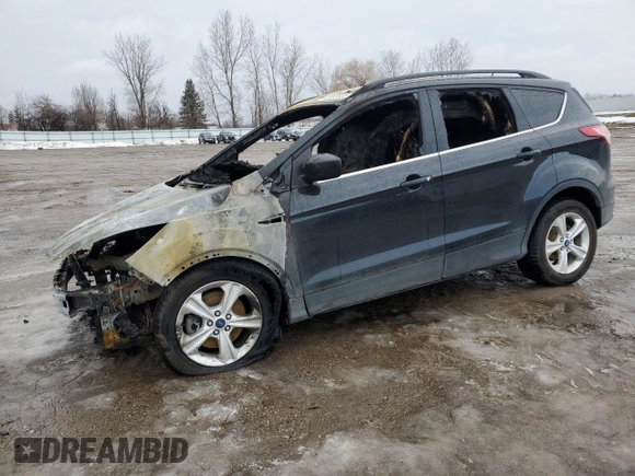 2014 Ford Escape SE with VIN 1FMCU9GX0EUC44297, listed as a Copart auction lot 43003935 with Not Provided miles and Non Repairable. Bid and sale history available at DreamBid. Image 1.