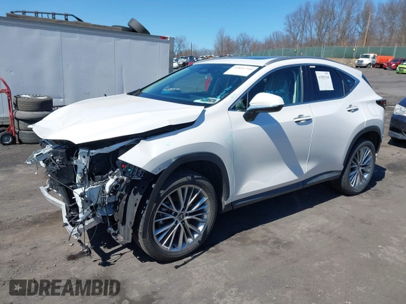 2025 Lexus NX with VIN 2T2GGCEZ1SC067262, listed as a IAAI auction lot 41856760 with 4,217 mi miles. Bid and sale history available at carsss.com. Image 2.