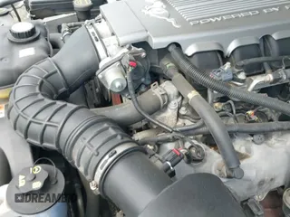 2008 Ford Mustang GT Deluxe with VIN 1ZVHT85H385157895, listed as a IAAI auction lot 42526108 with 39,017 mi miles and . Bid and sale history available at DreamBid. Image 20.