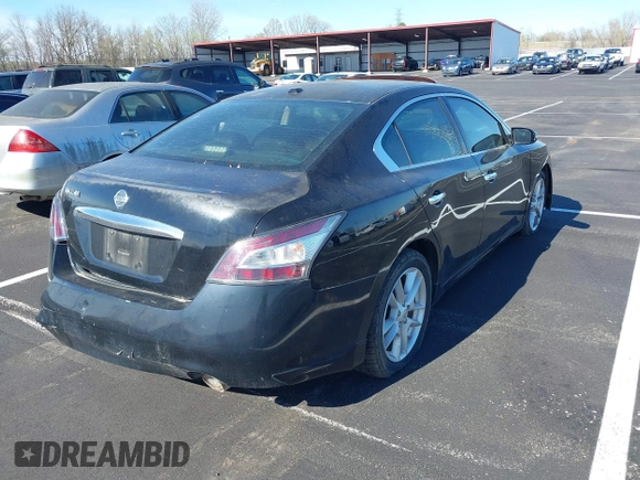 2009 Nissan Maxima SV с VIN 1N4AA51E09C808388, выставлен на аукционе IAAI как лот 41873230 с пробегом 180 510 миль миль и . История ставок и продаж доступна на DreamBid. Изображение 4.