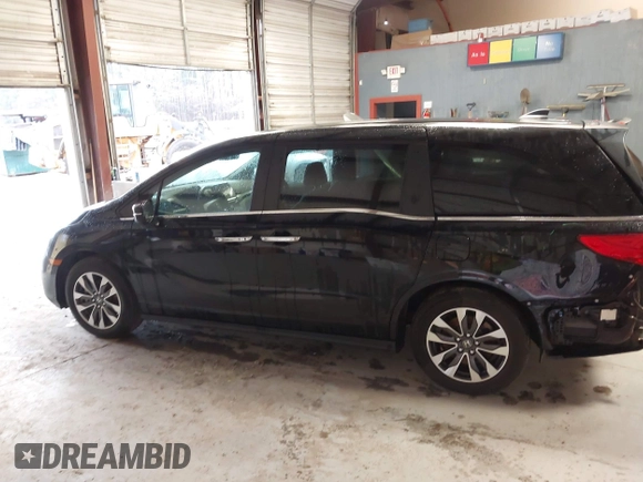 2024 Honda Odyssey EX-L with VIN 5FNRL6H65RB018633, listed as a IAAI auction lot 41801512 with 22,103 mi miles and . Bid and sale history available at DreamBid. Image 15.
