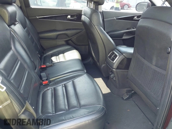 2017 Kia Sorento EX with VIN 5XYPH4A53HG287333, listed as a IAAI auction lot 42230196 with 253,625 mi miles and . Bid and sale history available at carsss.com. Image 8.