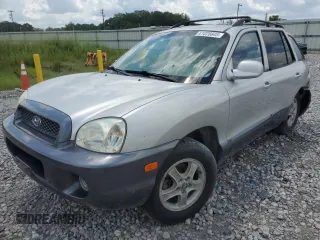 2003 Hyundai Santa Fe GLS with VIN KM8SC13D03U380597, listed as a Copart auction lot 61028845 with 303,569 mi miles and Salvage title. Bid and sale history available at DreamBid. Image 1.