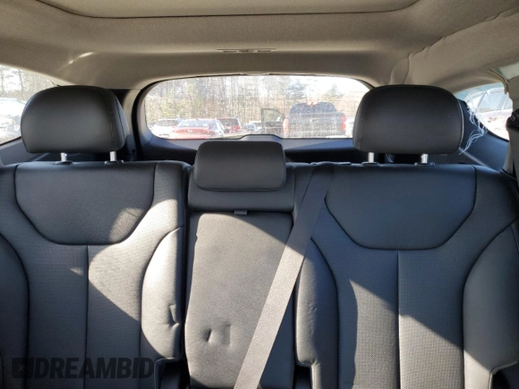 2020 Hyundai Santa Fe SEL with VIN 5NMS3CAA7LH250879, listed as a Copart auction lot 42988695 with 85,603 mi miles and Salvage Title. Bid and sale history available at carsss.com. Image 10.