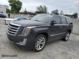 2017 Cadillac Escalade Premium Luxury with VIN 1GYS3CKJ2HR252132, listed as a Copart auction lot 86331604 with 0 mi miles and Salvage Title. Bid and sale history available at carsss.com. Image 1.
