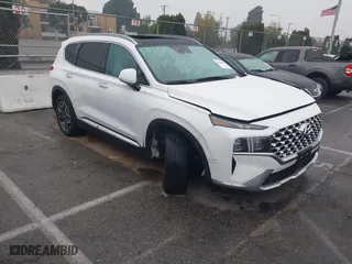 2021 Hyundai Santa Fe Limited with VIN 5NMS44AL5MH315413, listed as a IAAI auction lot 41205405 with 60,677 mi miles. Bid and sale history available at carsss.com. Image 1.