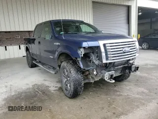 2011 Ford F-150 XLT with VIN 1FTFW1ET2BFB81443, listed as a Copart auction lot 46299165 with 250,287 mi miles and Salvage Title. Bid and sale history available at carsss.com. Image 10.