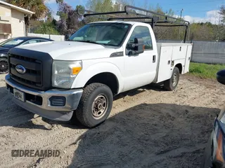 2011 Ford Super Duty F-250 SRW XL with VIN 1FDBF2B66BEC47481, listed as a IAAI auction lot 41893491 with 306,160 mi miles. Bid and sale history available at carsss.com. Image 2.
