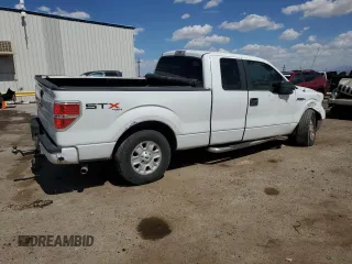 2010 Ford F-150 XL with VIN 1FTEX1EW4AKE08902, listed as a Copart auction lot 64699795 with 288,700 mi miles and Salvage title. Bid and sale history available at DreamBid. Image 3.