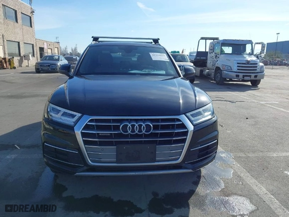 2019 Audi Q5 Premium Plus with VIN WA1BNAFY5K2063433, listed as a IAAI auction lot 41233819 with 55,056 mi miles. Bid and sale history available at carsss.com. Image 12.