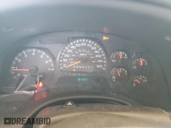 2006 Chevrolet TrailBlazer LS with VIN 1GNET16S166139126, listed as a Copart auction lot 48789015 with 191,237 mi miles and Non Repairable. Bid and sale history available at DreamBid. Image 9.