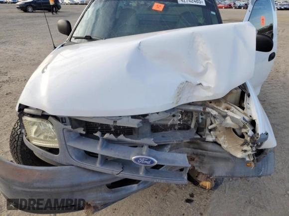 1998 Ford F-150 z VIN 1FTZF1720WKB42249, wystawiony jako Copart lot #42742485 z przebiegiem 209 924 mil mil oraz Szkoda całkowita • Salvage title. Historia ofert i sprzedaży dostępna na DreamBid. Obrazek 11.