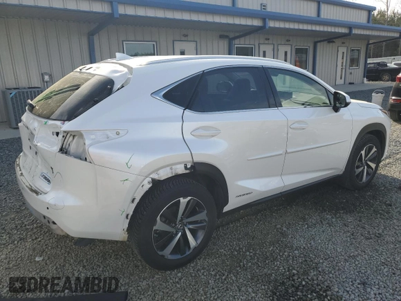 2018 Lexus NX 300h with VIN JTJBJRBZ4J2095848, listed as a Copart auction lot 51179865 with 93,053 mi miles and Salvage title. Bid and sale history available at DreamBid. Image 3.