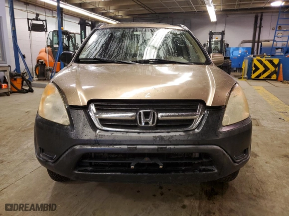 2004 Honda CR-V EX with VIN JHLRD78814C010705, listed as a Copart auction lot 81408114 with 238,799 mi miles and Clean Title. Bid and sale history available at carsss.com. Image 5.