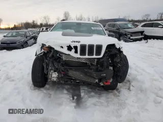 2019 Jeep Cherokee Trailhawk Elite with VIN 1C4PJMBX3KD196654, listed as a Copart auction lot 46592565 with 122,225 mi miles and Salvage Title. Bid and sale history available at carsss.com. Image 5.