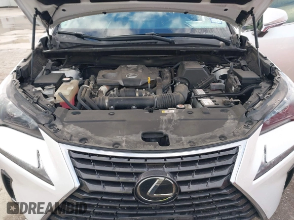 2019 Lexus NX 300 with VIN JTJYARBZ7K2150840, listed as a IAAI auction lot 41296064 with 40,123 mi miles and . Bid and sale history available at DreamBid. Image 10.