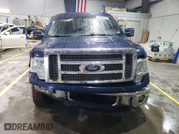 2010 Ford F-150 XL with VIN 1FTFW1EVXAFB92416, listed as a Copart auction lot 51909125 with 210,718 mi miles and Salvage Title. Bid and sale history available at carsss.com. Image 5.
