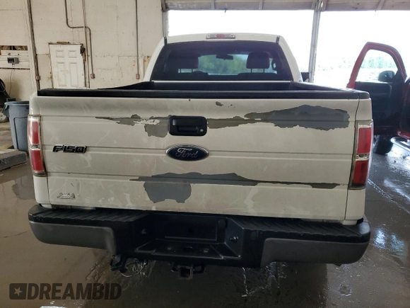 2010 Ford F-150 XL with VIN 1FTMF1CW8AKA82586, listed as a Copart auction lot 58854245 with 197,462 mi miles and Non repairable. Bid and sale history available at DreamBid. Image 6.