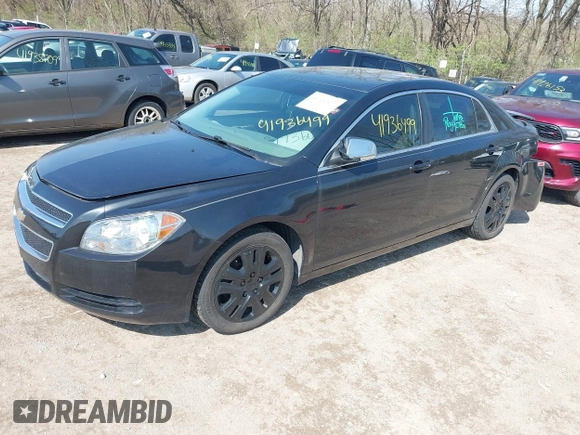 2011 Chevrolet Malibu 1LS with VIN 1G1ZB5E11BF320209, listed as a IAAI auction lot 41936499 with 99,768 mi miles and . Bid and sale history available at DreamBid. Image 2.
