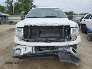 2009 Ford F-150 XL with VIN 1FTPF12V29KC06708, listed as a Copart auction lot 58151755 with 205,682 mi miles and Salvage title. Bid and sale history available at DreamBid. Image 5.