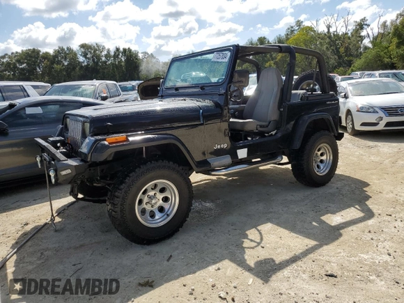 1995 Jeep Wrangler with VIN 1J4FY29SXSP230216, listed as a Copart auction lot 77257834 with 144,217 mi miles and Salvage Title. Bid and sale history available at carsss.com. Image 1.