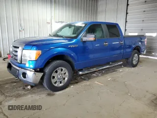2009 Ford F-150 XL z VIN 1FTPW14V69KC61143, wystawiony jako Copart lot #60902565 z przebiegiem 209 826 mil mil oraz Nie do naprawy • Non repairable. Historia ofert i sprzedaży dostępna na DreamBid. Obrazek 1.