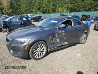 2014 BMW 2 Series 228i with VIN WBA1F5C55EV246282, listed as a Copart auction lot 53211745 with 87,106 mi miles and Salvage Title. Bid and sale history available at carsss.com. Image 1.