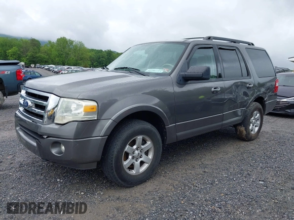 2010 Ford Expedition SSV with VIN 1FMJU1G59AEB59065, listed as a IAAI auction lot 42202714 with 250,219 mi miles and . Bid and sale history available at DreamBid. Image 6.