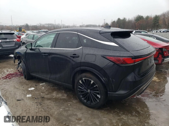 2025 Lexus RX 350 with VIN 2T2BAMCA8SC089662, listed as a Copart auction lot 43508605 with 1,634 mi miles and Salvage Title. Bid and sale history available at DreamBid. Image 2.